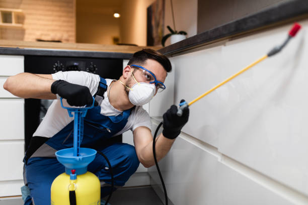 Best Pest Prevention Services  in Beechwood Village, KY