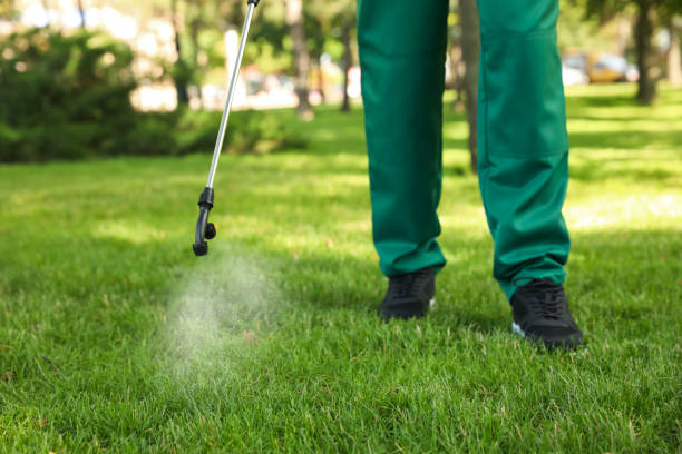Best Best Pest Control Companies  in Beechwood Village, KY