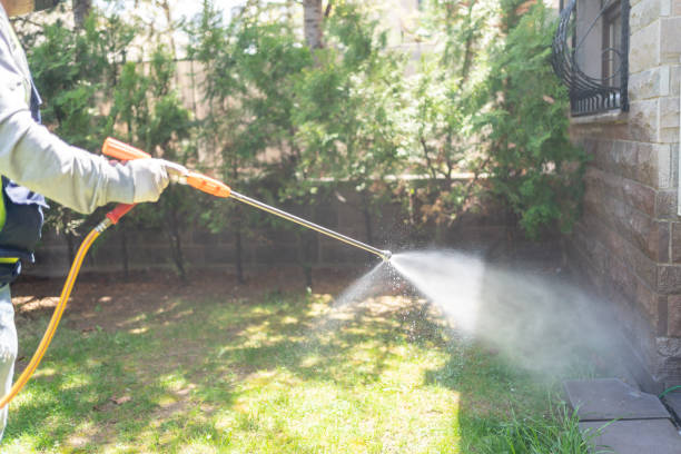 Best Affordable Pest Control Services  in Beechwood Village, KY