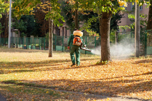 Best Pest Removal Services  in Beechwood Village, KY