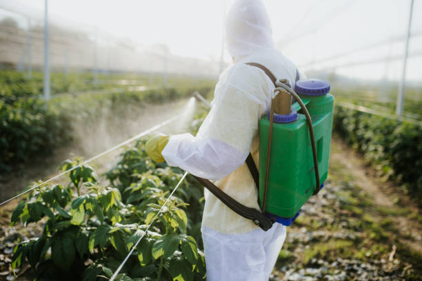 Trusted Beechwood Village, KY Pest Control Experts